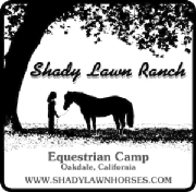 ShadyLawnText03.jpg